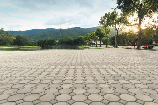 Best Residential Paver Driveway  in Holden, MO